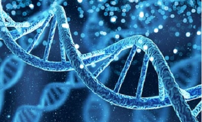 Clevergene receives PCPNDT Licence for prenatal genetic tests